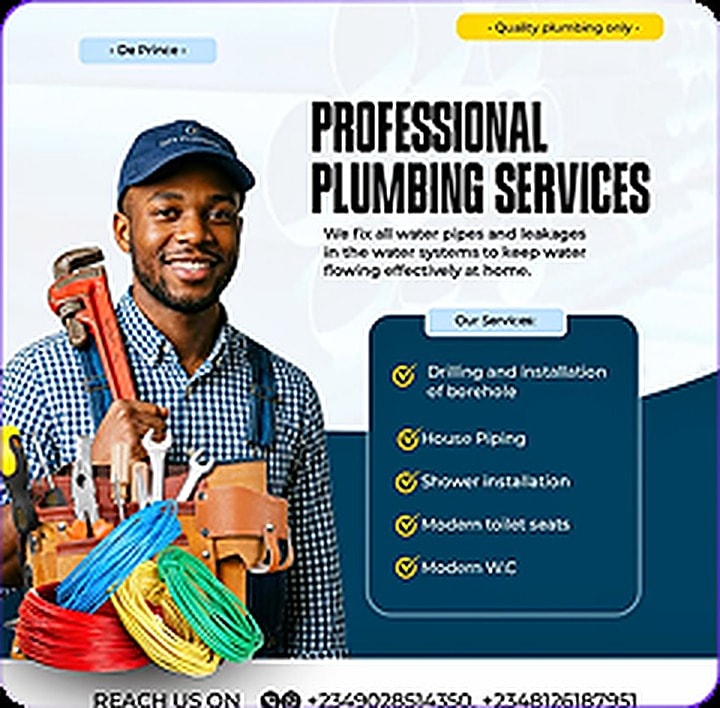 Professional Plumbing Services